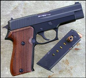 SIG-SauerP220rock&cap 006.JPG